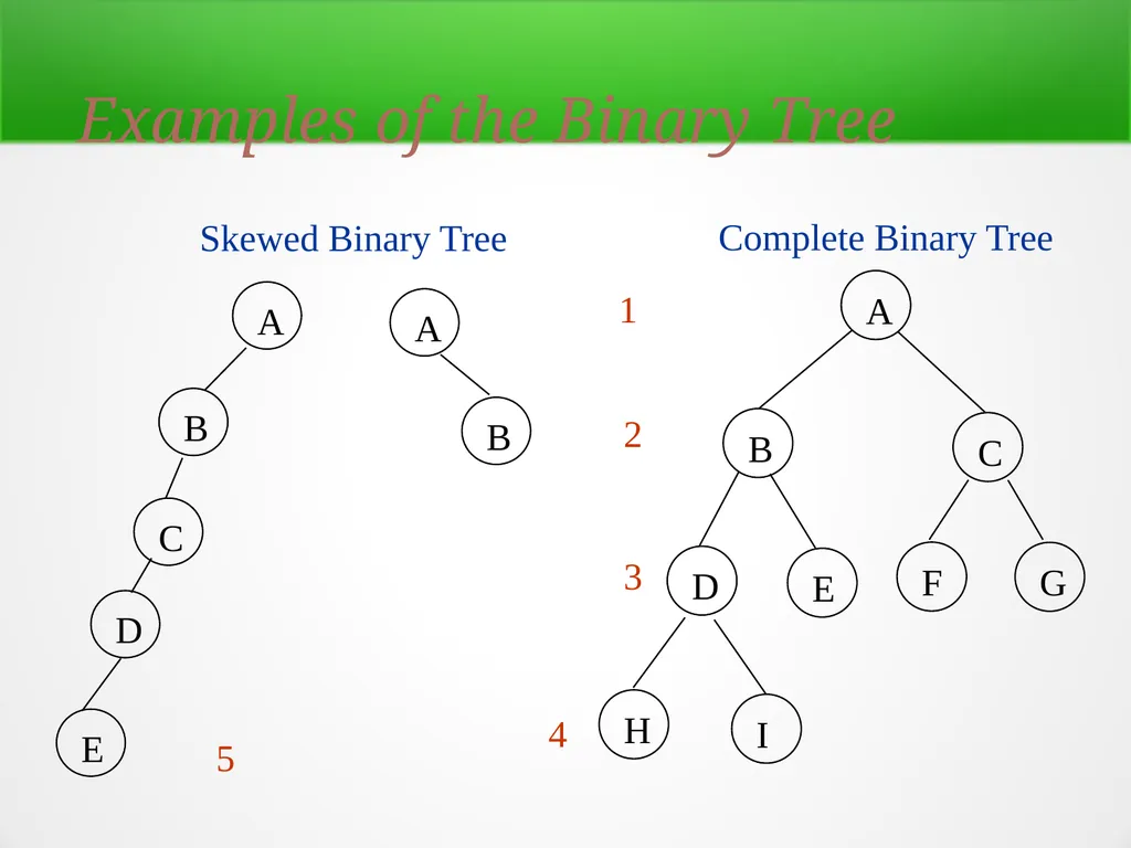 Trees and Binary Trees Become Rich Force Others to - slide 17 of 35