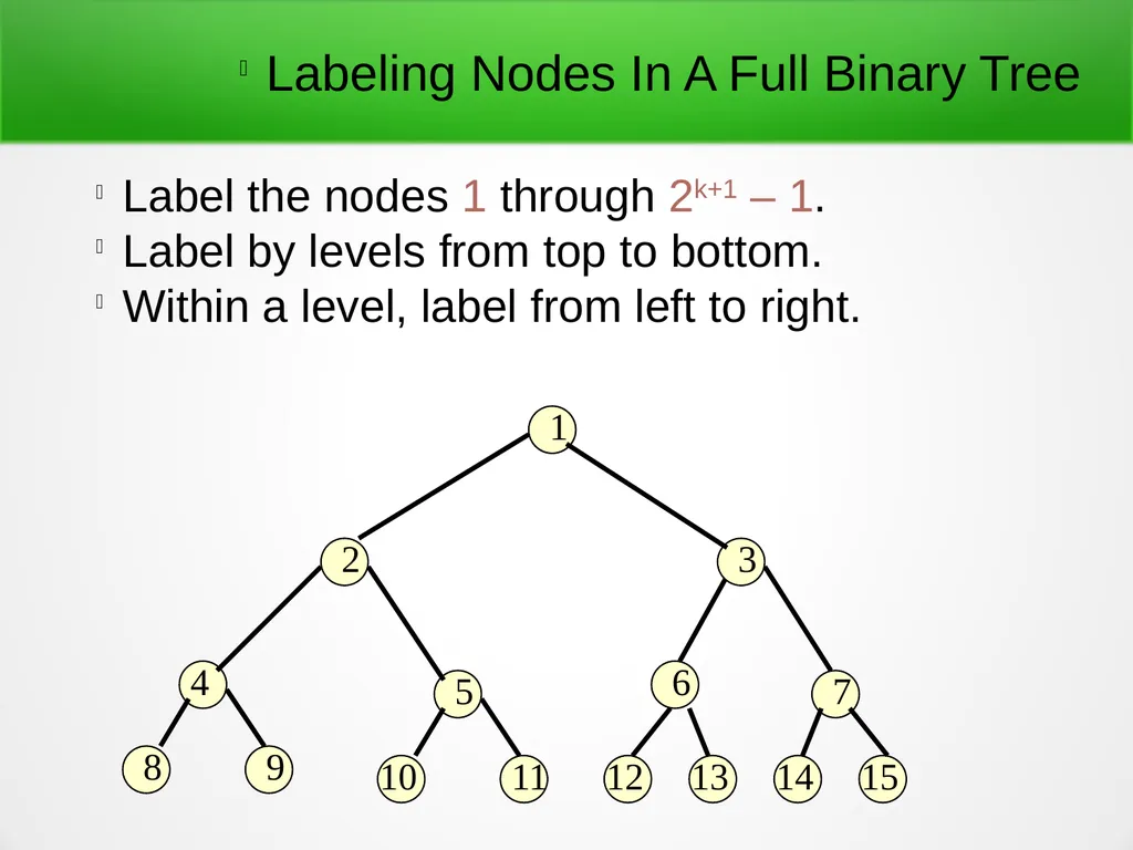 Trees and Binary Trees Become Rich Force Others to - slide 24 of 35