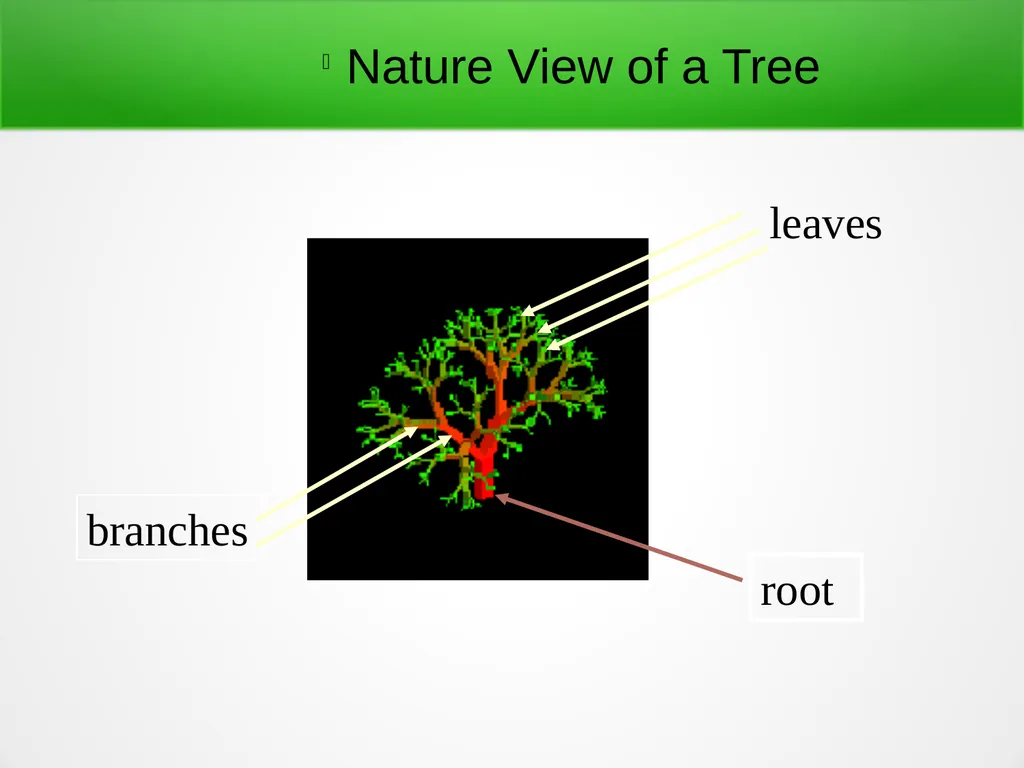 Trees and Binary Trees Become Rich Force Others to - slide 2 of 35