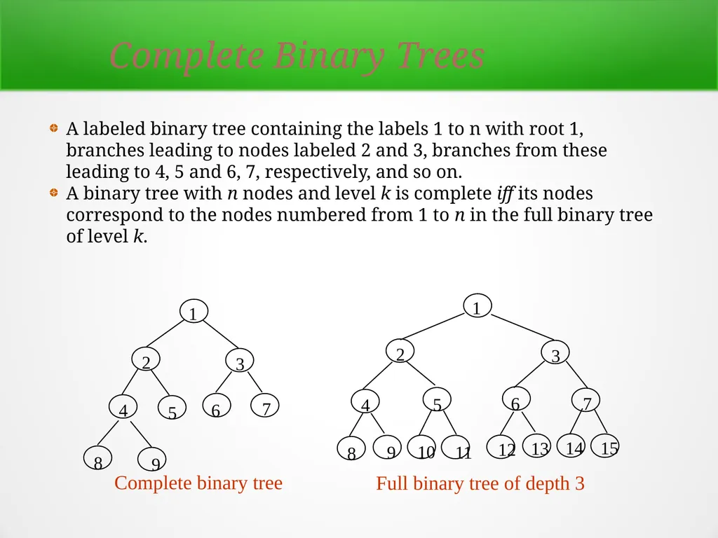 Trees and Binary Trees Become Rich Force Others to - slide 28 of 35