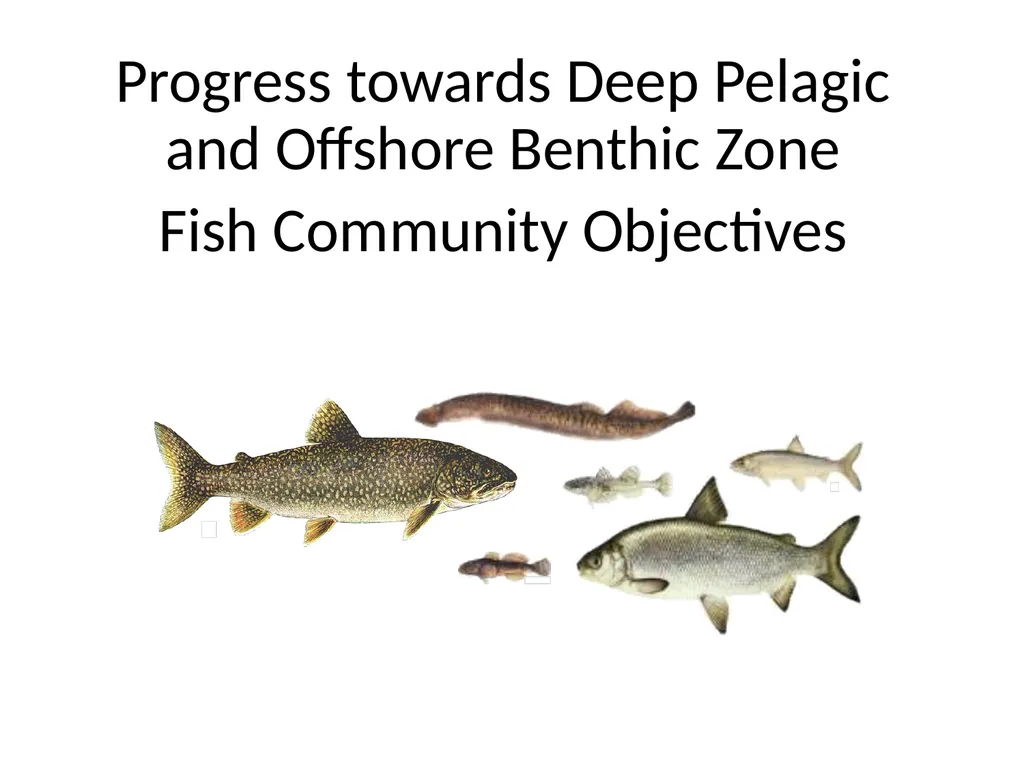 Progress towards Nearshore Zone Fish Community - slide 8 of 10