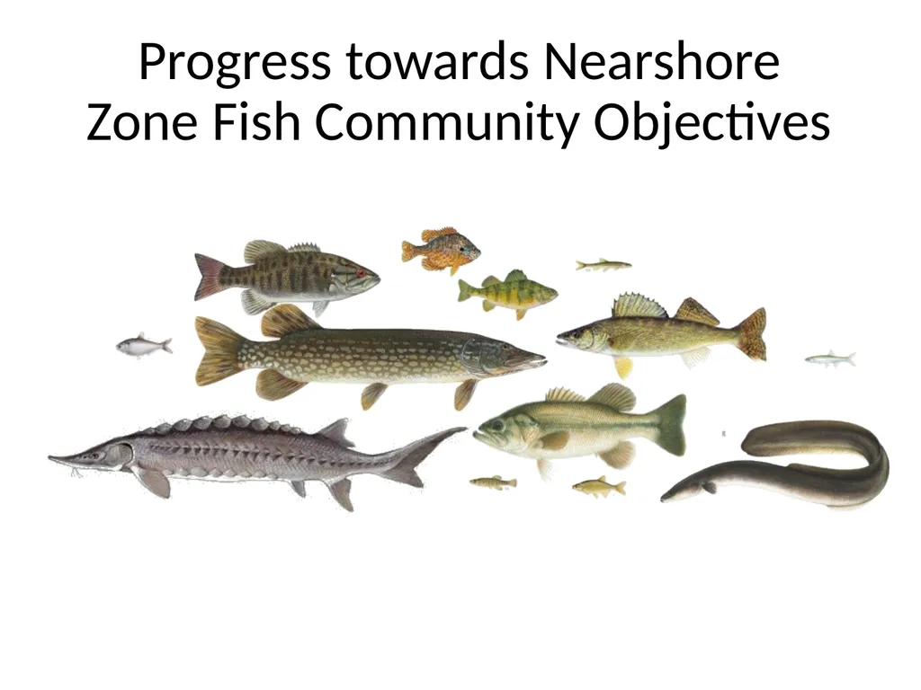 Progress towards Nearshore Zone Fish Community - slide 1 of 10