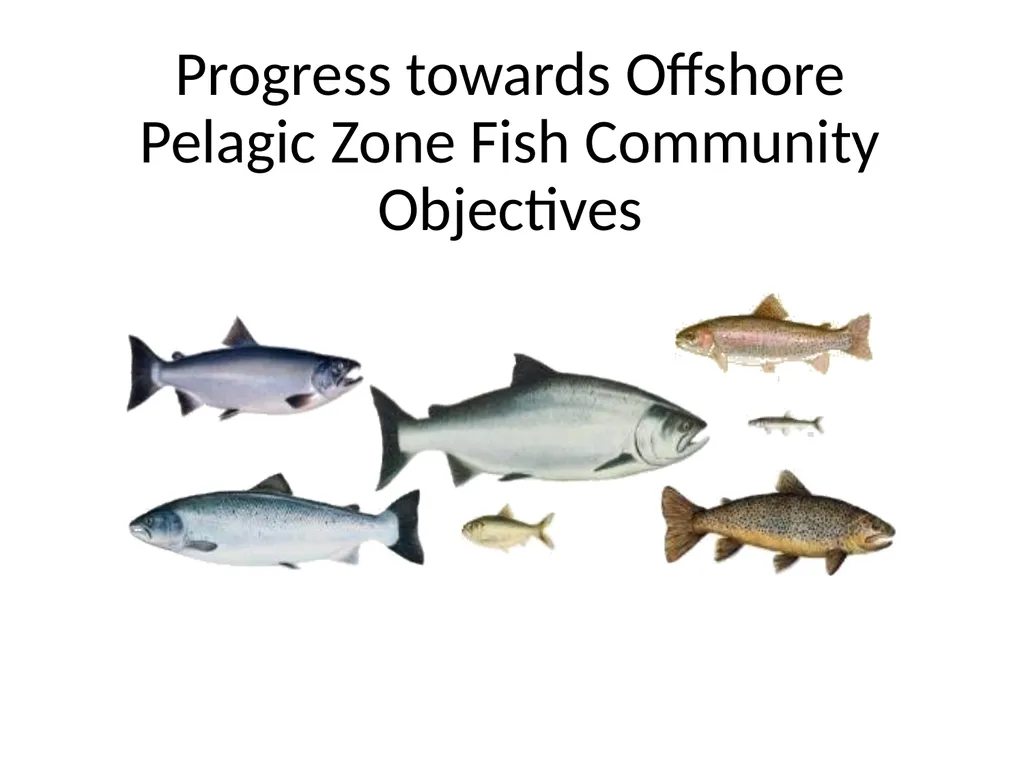 Progress towards Nearshore Zone Fish Community - slide 4 of 10