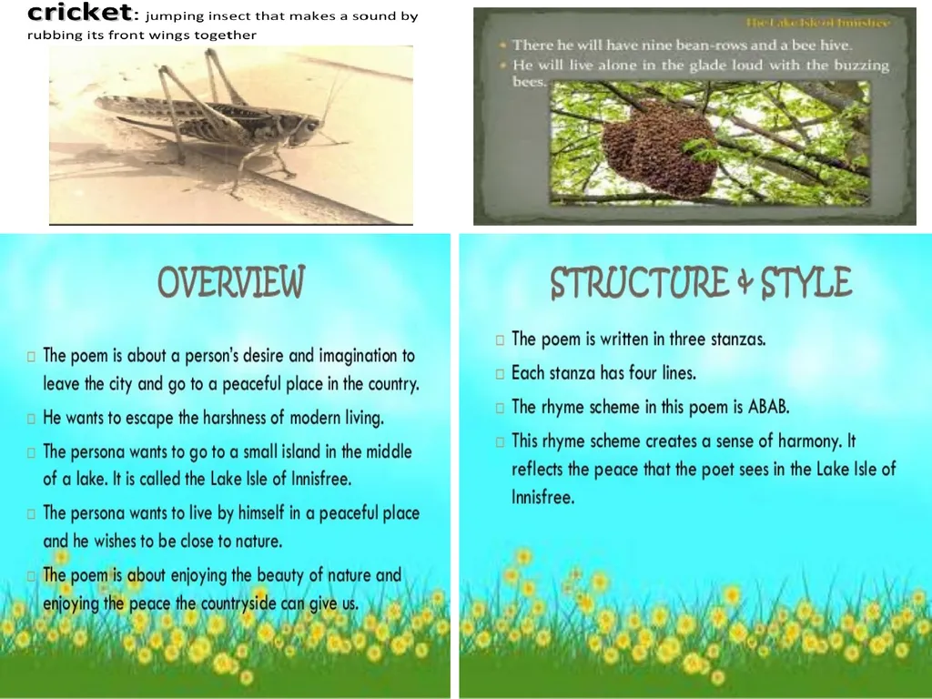 Md. Fazlul Karim Lecturer of English Mansur - slide 13 of 18
