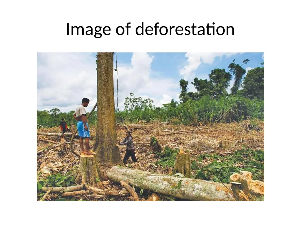 Deforestation ‘Cutting down trees over a large - slide 3 of 9