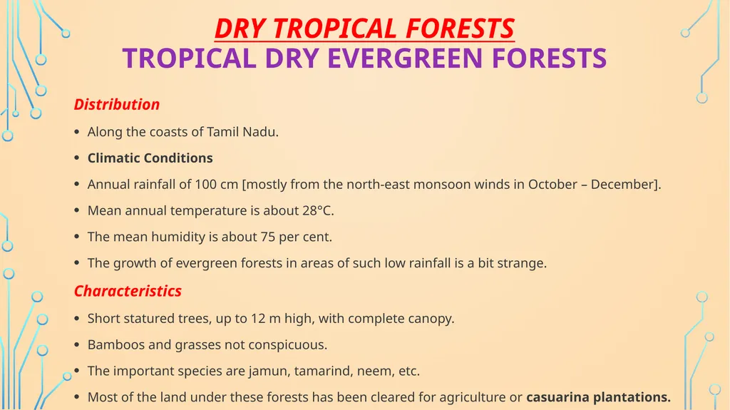S. MaheSwari guest lecturer in geography - slide 15 of 39