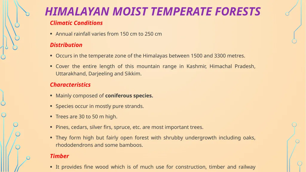 S. MaheSwari guest lecturer in geography - slide 27 of 39