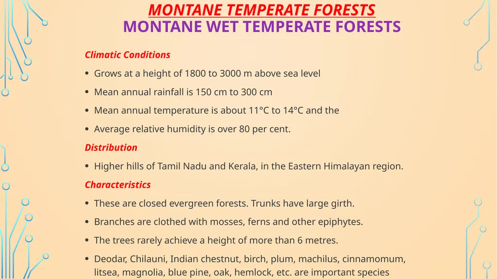 S. MaheSwari guest lecturer in geography - slide 26 of 39