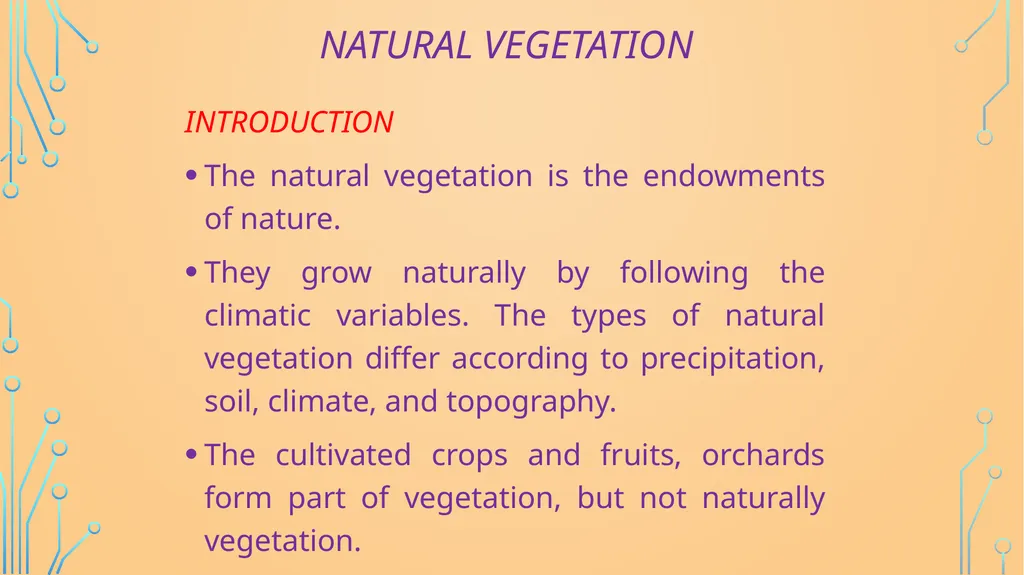S. MaheSwari guest lecturer in geography - slide 2 of 39