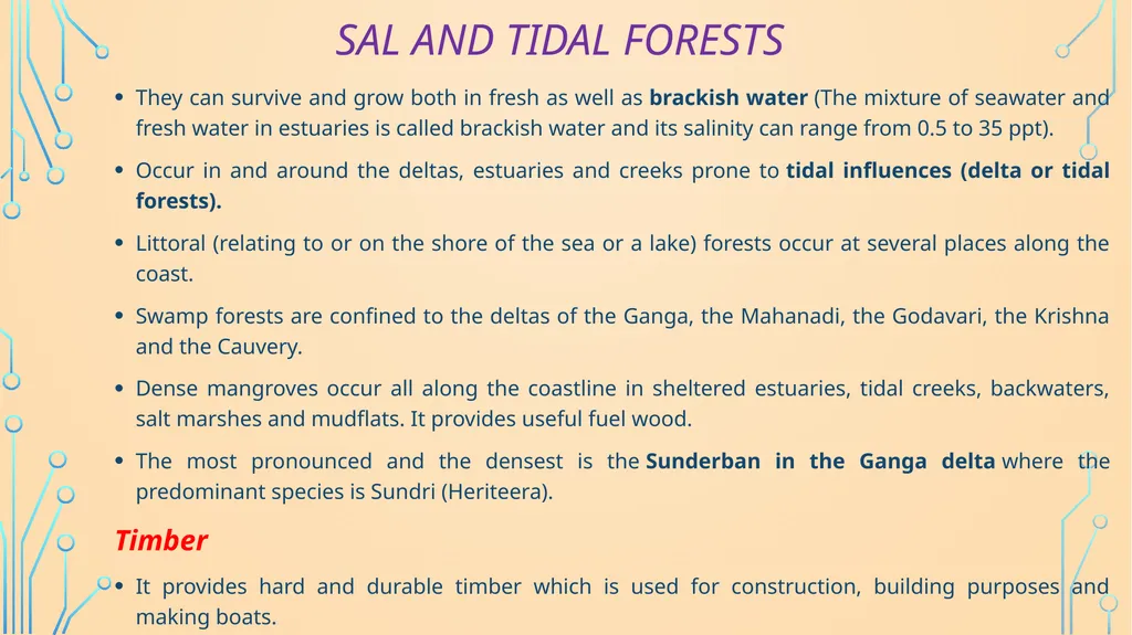 S. MaheSwari guest lecturer in geography - slide 14 of 39