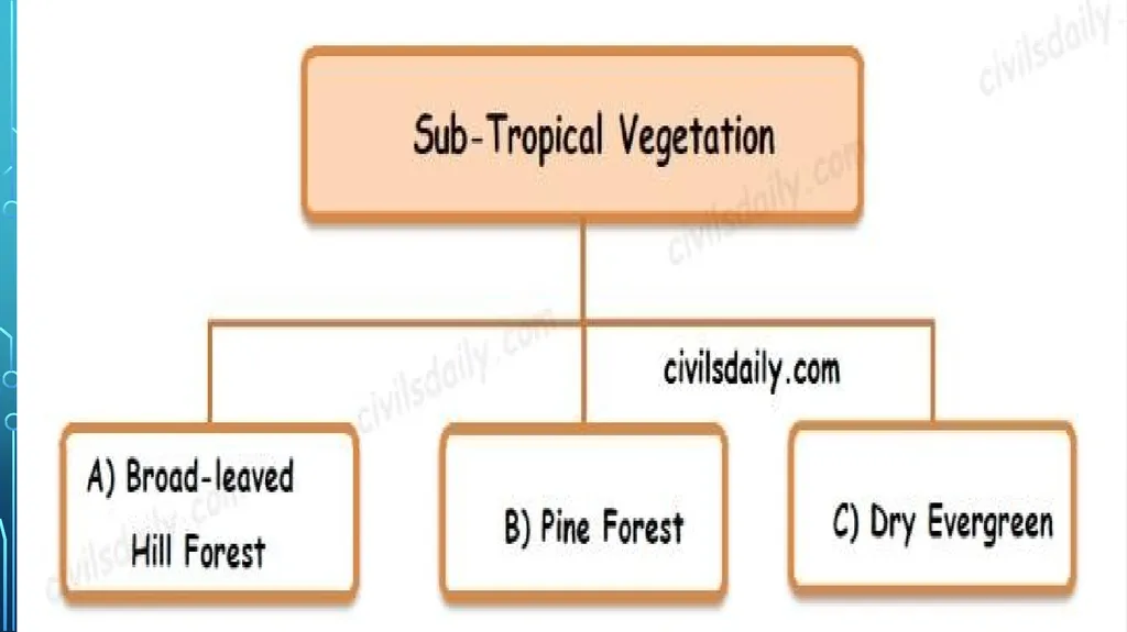 S. MaheSwari guest lecturer in geography - slide 21 of 39