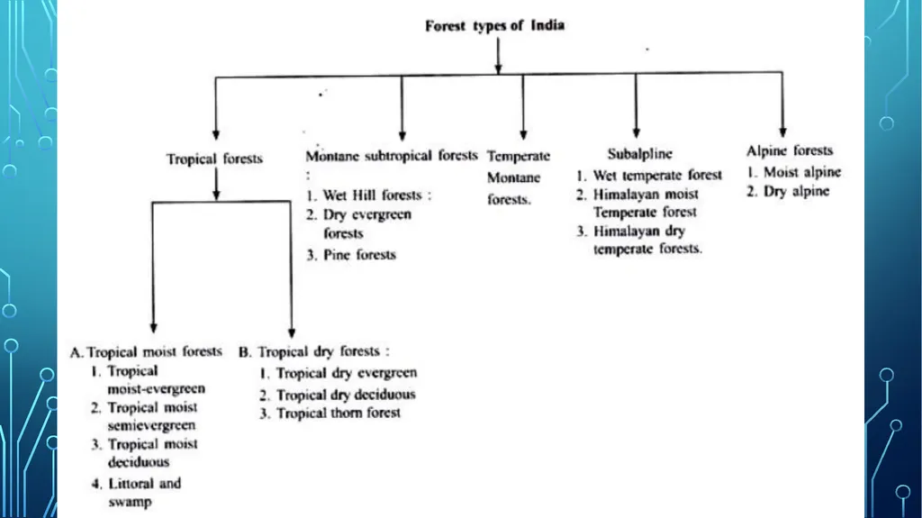 S. MaheSwari guest lecturer in geography - slide 5 of 39