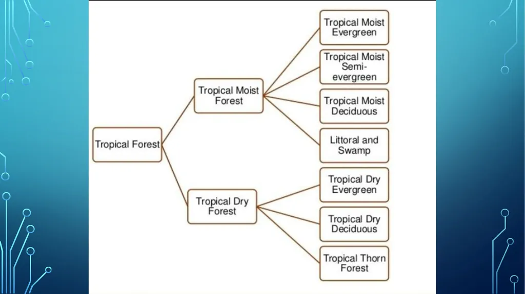 S. MaheSwari guest lecturer in geography - slide 7 of 39