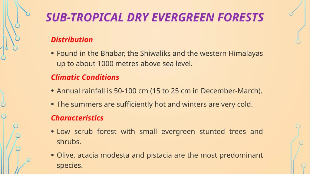 S. MaheSwari guest lecturer in geography - slide 24 of 39