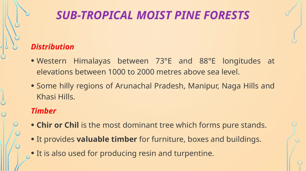 S. MaheSwari guest lecturer in geography - slide 23 of 39