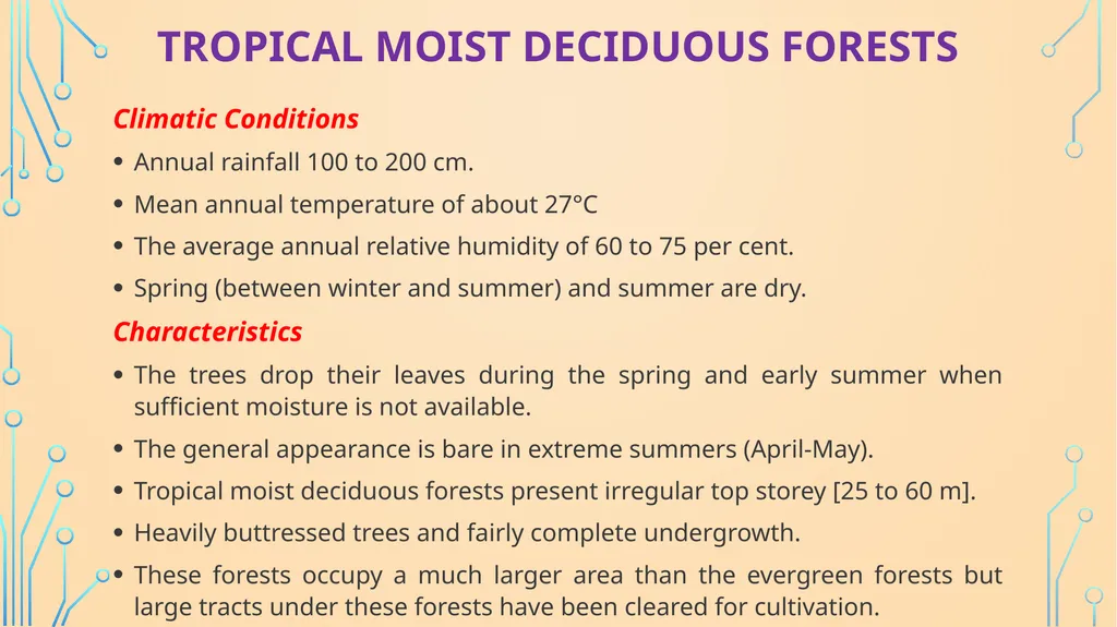 S. MaheSwari guest lecturer in geography - slide 12 of 39