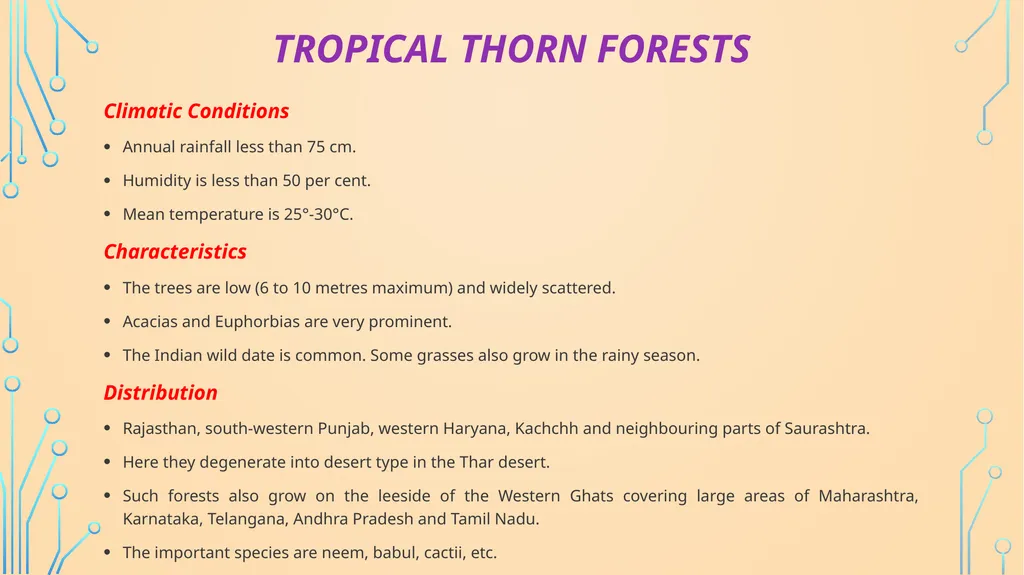 S. MaheSwari guest lecturer in geography - slide 19 of 39