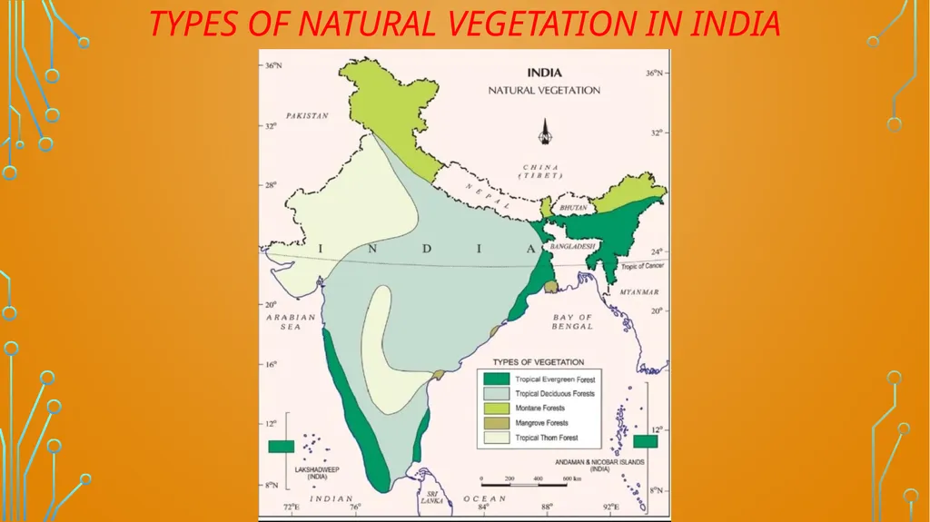 S. MaheSwari guest lecturer in geography - slide 6 of 39