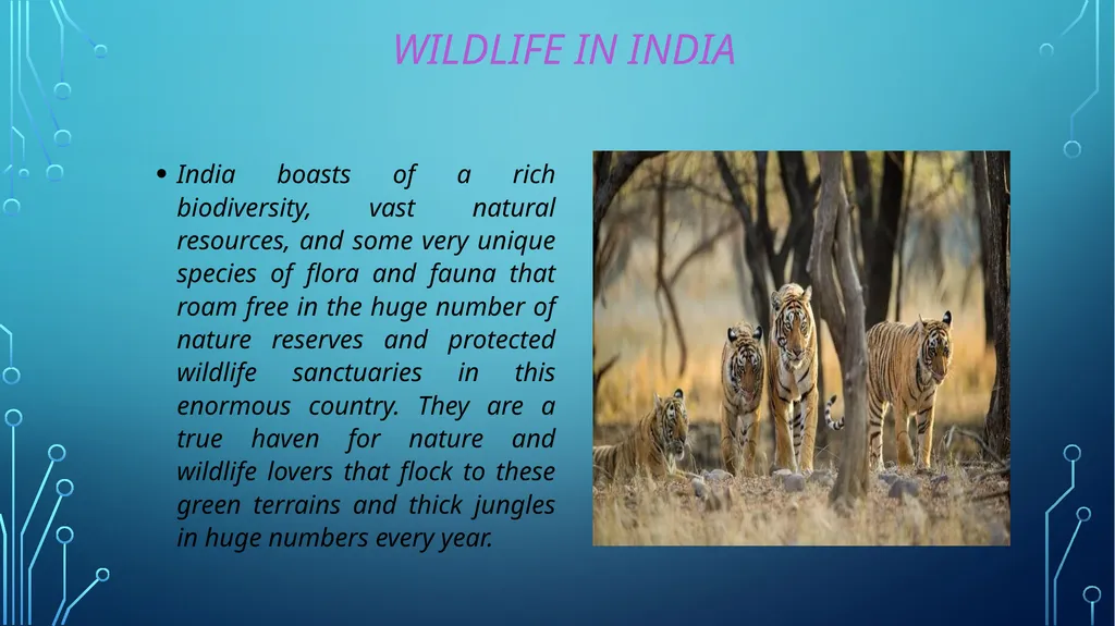 S. MaheSwari guest lecturer in geography - slide 31 of 39