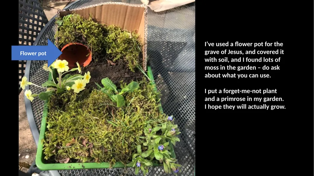 How to make a simple Easter garden. Find a seed - slide 3 of 12