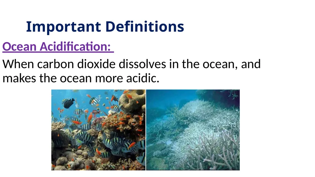 Ocean Acidification Warm Up What is ocean - slide 3 of 18