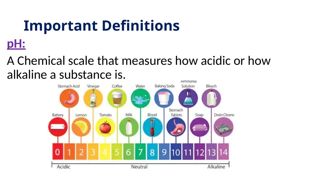 Ocean Acidification Warm Up What is ocean - slide 4 of 18