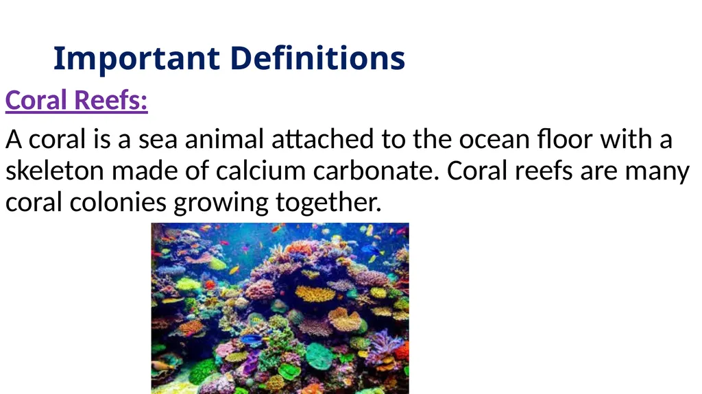 Ocean Acidification Warm Up What is ocean - slide 5 of 18