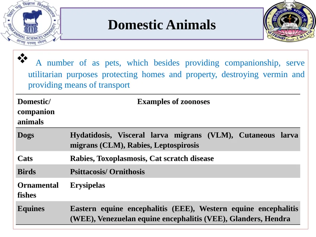 Role of animals in transmission of zoonotic - slide 2 of 6