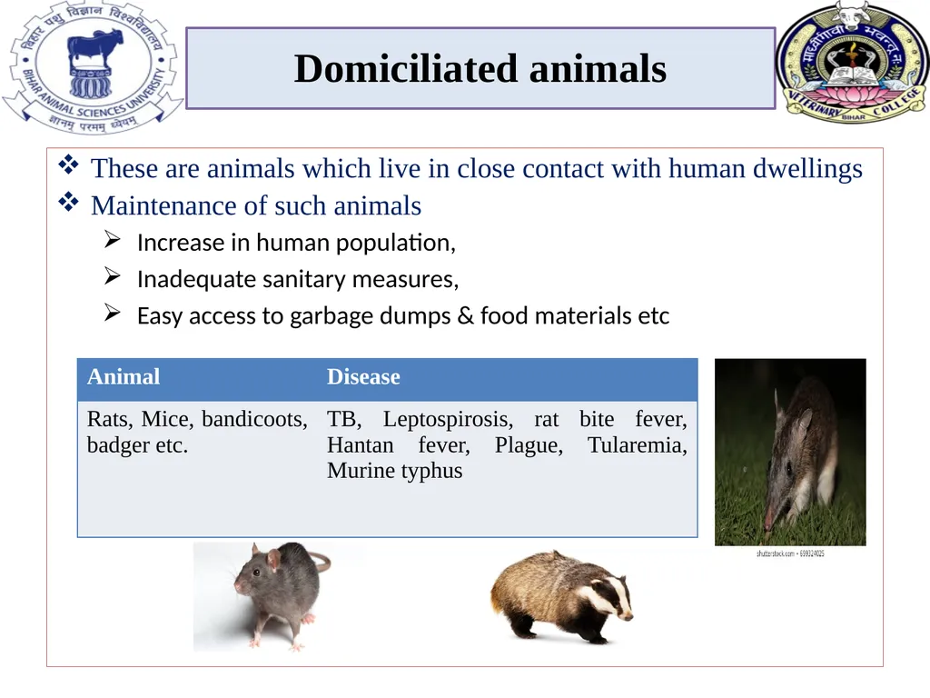 Role of animals in transmission of zoonotic - slide 4 of 6