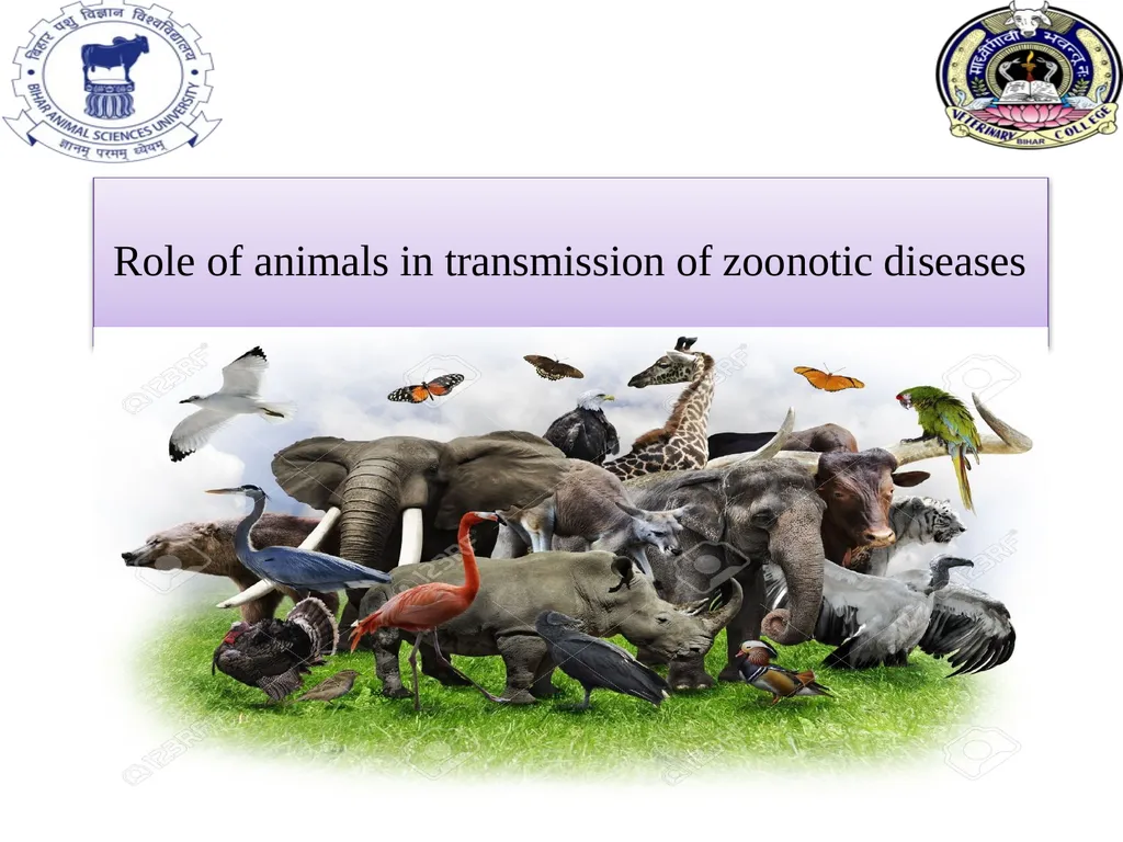 Role of animals in transmission of zoonotic - slide 1 of 6