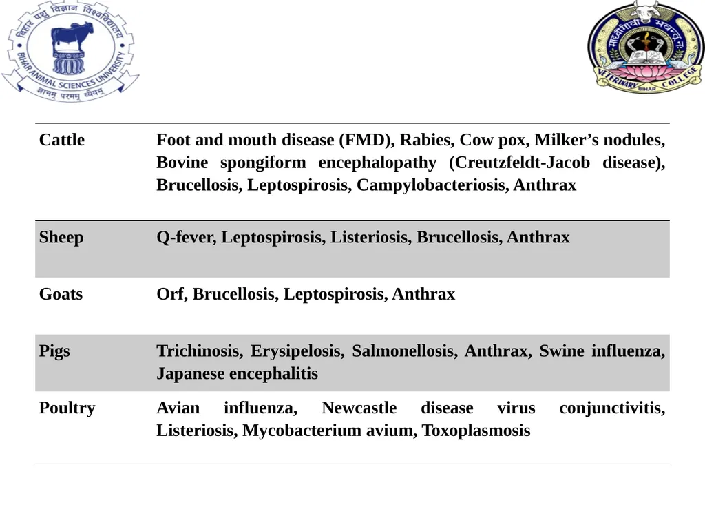 Role of animals in transmission of zoonotic - slide 3 of 6