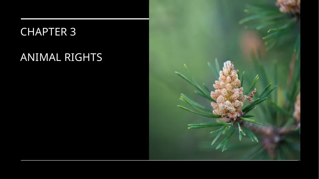Chapter 3 Animal Rights Issue: Do animals—or at - slide 1 of 35