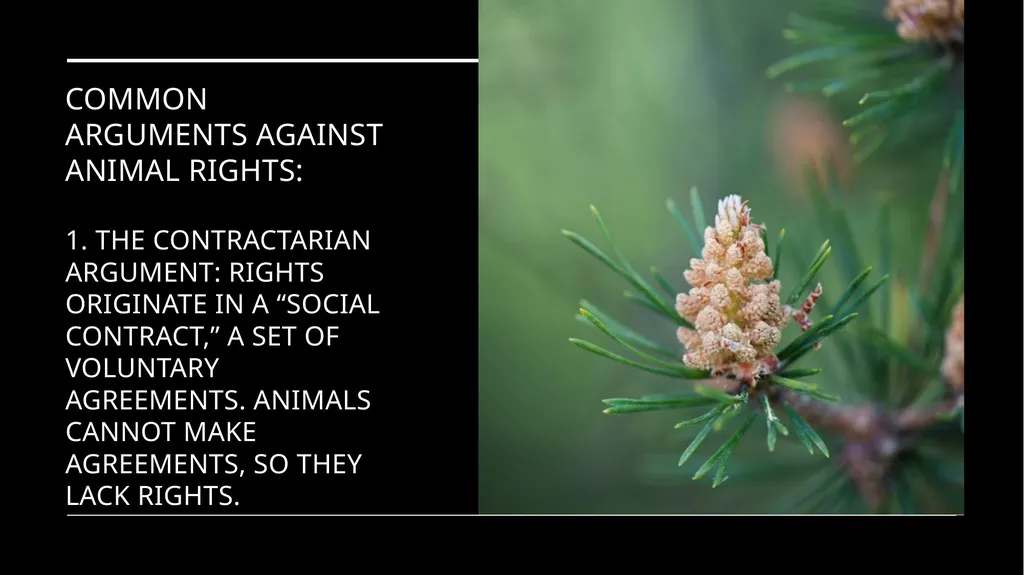 Chapter 3 Animal Rights Issue: Do animals—or at - slide 23 of 35