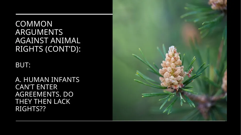 Chapter 3 Animal Rights Issue: Do animals—or at - slide 24 of 35