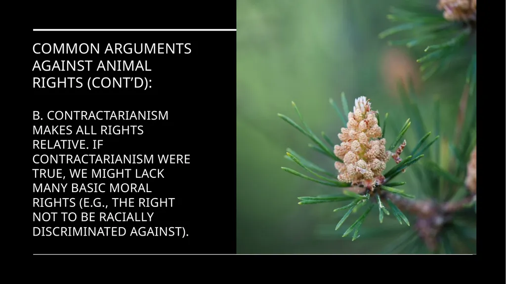 Chapter 3 Animal Rights Issue: Do animals—or at - slide 25 of 35