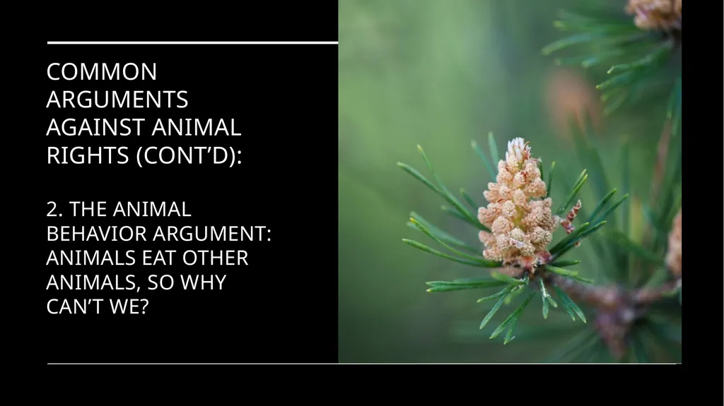 Chapter 3 Animal Rights Issue: Do animals—or at - slide 26 of 35