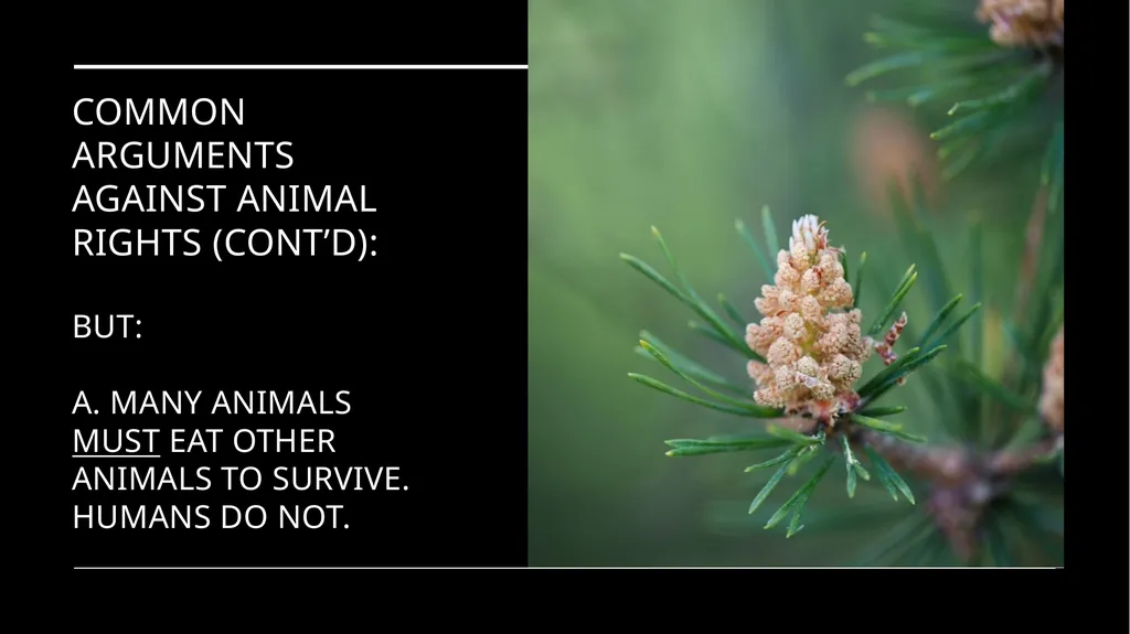 Chapter 3 Animal Rights Issue: Do animals—or at - slide 27 of 35
