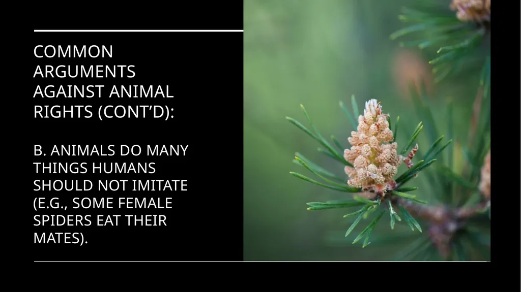 Chapter 3 Animal Rights Issue: Do animals—or at - slide 28 of 35