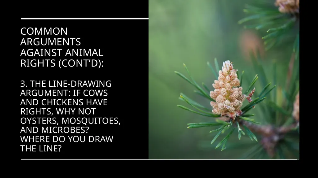 Chapter 3 Animal Rights Issue: Do animals—or at - slide 29 of 35