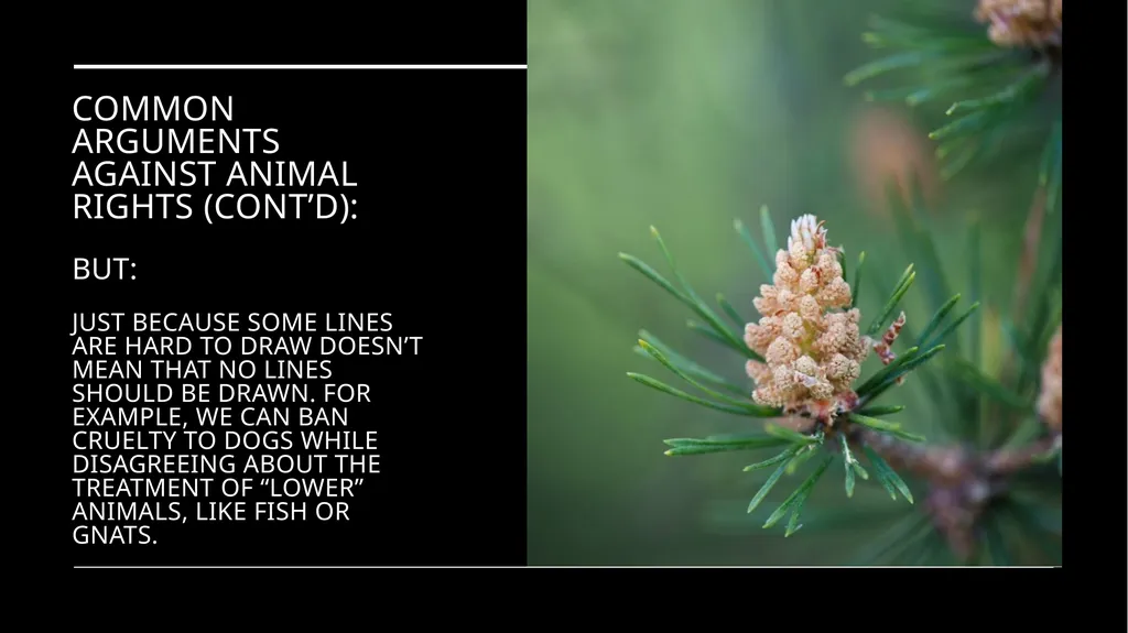 Chapter 3 Animal Rights Issue: Do animals—or at - slide 30 of 35