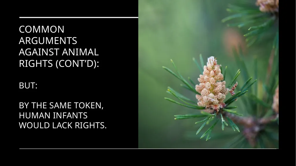 Chapter 3 Animal Rights Issue: Do animals—or at - slide 32 of 35