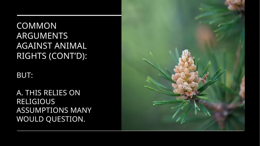 Chapter 3 Animal Rights Issue: Do animals—or at - slide 34 of 35