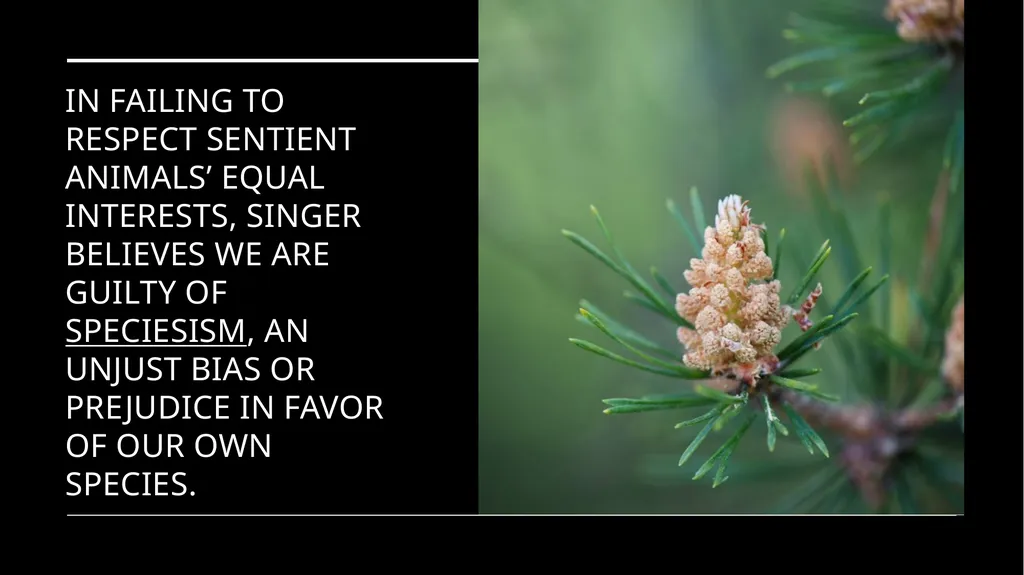 Chapter 3 Animal Rights Issue: Do animals—or at - slide 9 of 35