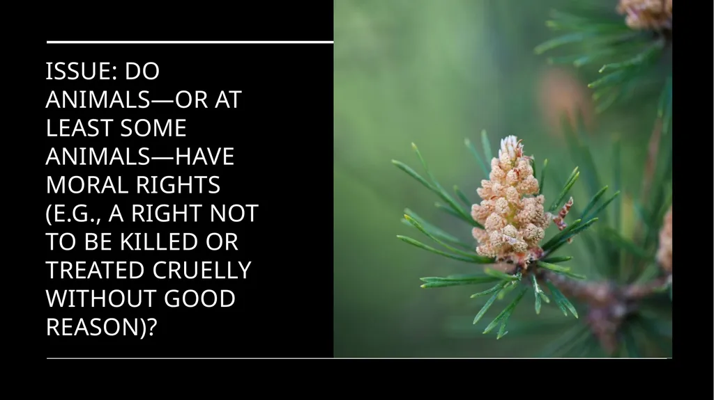 Chapter 3 Animal Rights Issue: Do animals—or at - slide 2 of 35
