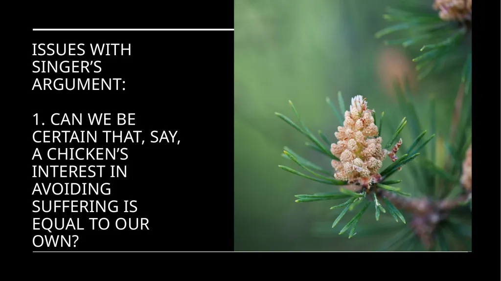 Chapter 3 Animal Rights Issue: Do animals—or at - slide 10 of 35
