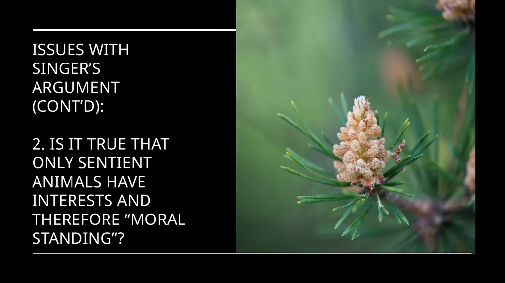 Chapter 3 Animal Rights Issue: Do animals—or at - slide 11 of 35