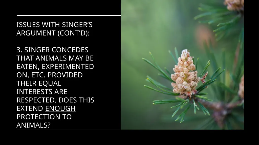 Chapter 3 Animal Rights Issue: Do animals—or at - slide 12 of 35