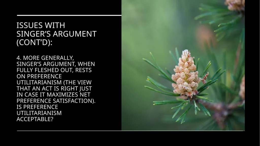 Chapter 3 Animal Rights Issue: Do animals—or at - slide 13 of 35