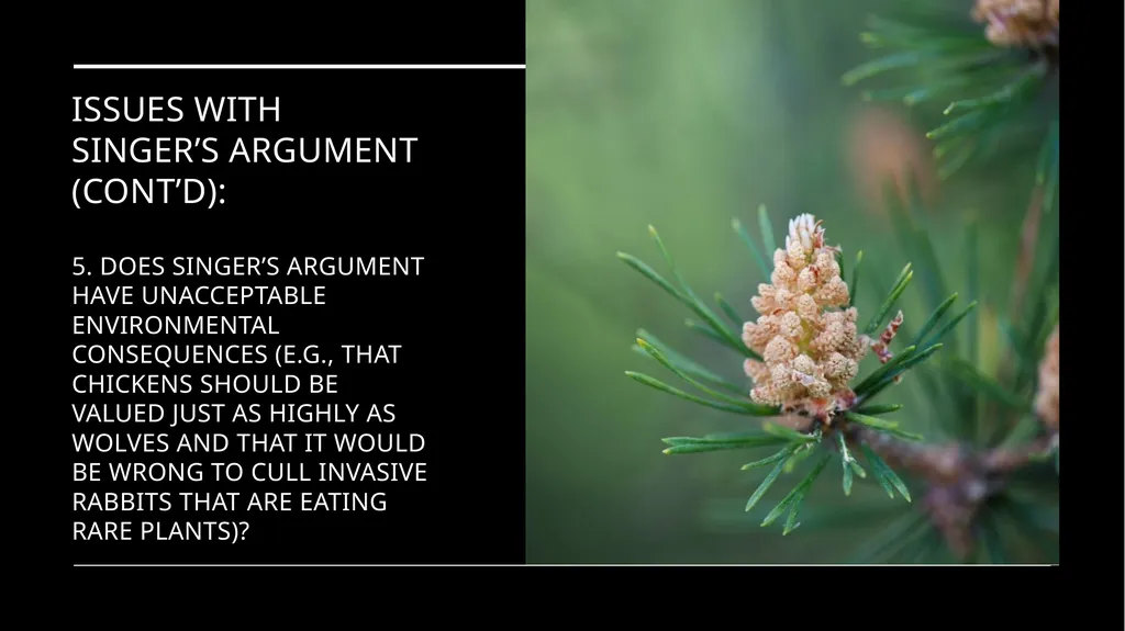 Chapter 3 Animal Rights Issue: Do animals—or at - slide 14 of 35