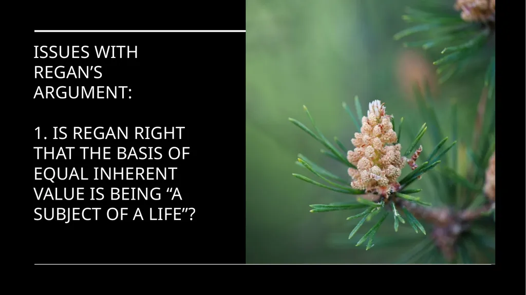 Chapter 3 Animal Rights Issue: Do animals—or at - slide 19 of 35